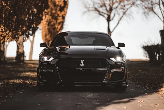 Ripper Kaszinó Android/iOS Alkalmazás